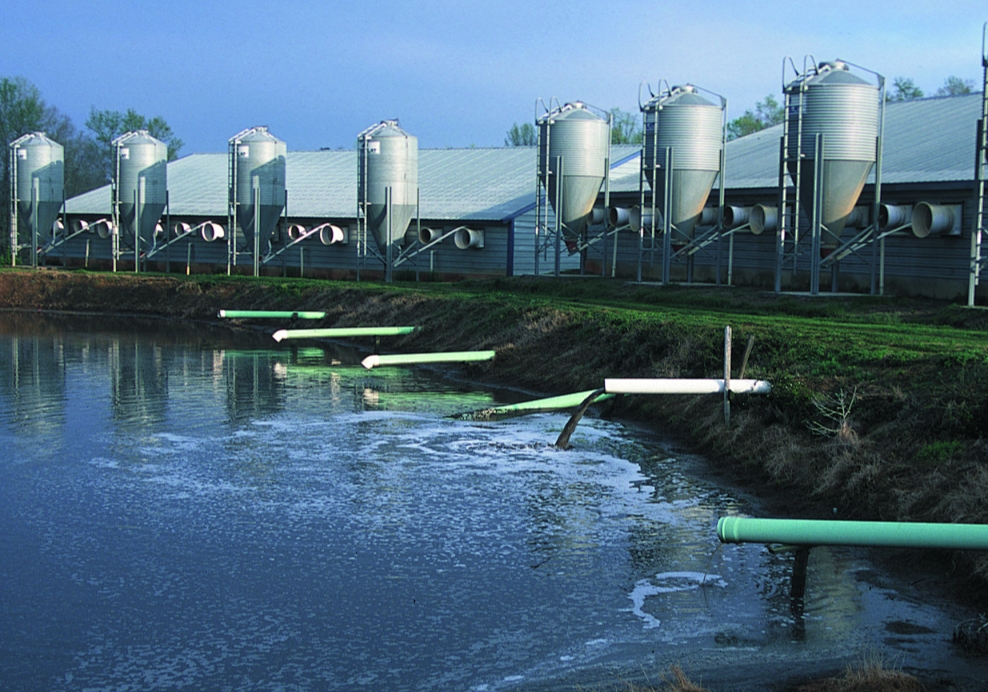 汙水處理設施疊加流域治理，這個萬億市場喜提早春行情